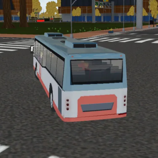 City Bus Driver